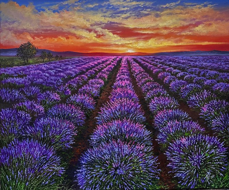 Lavender