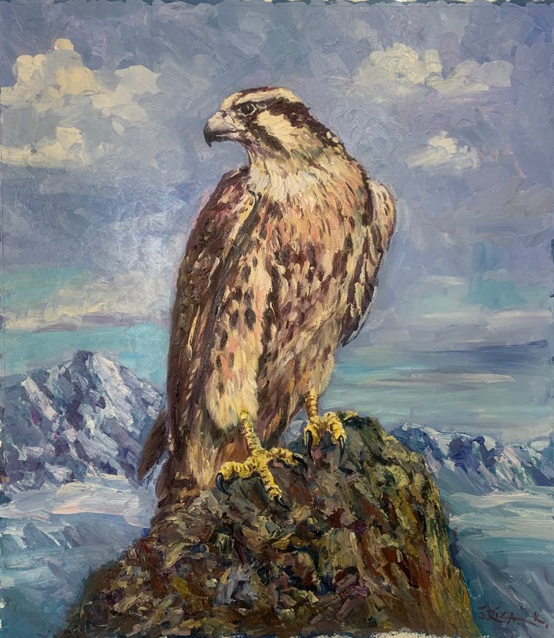 Falcon
