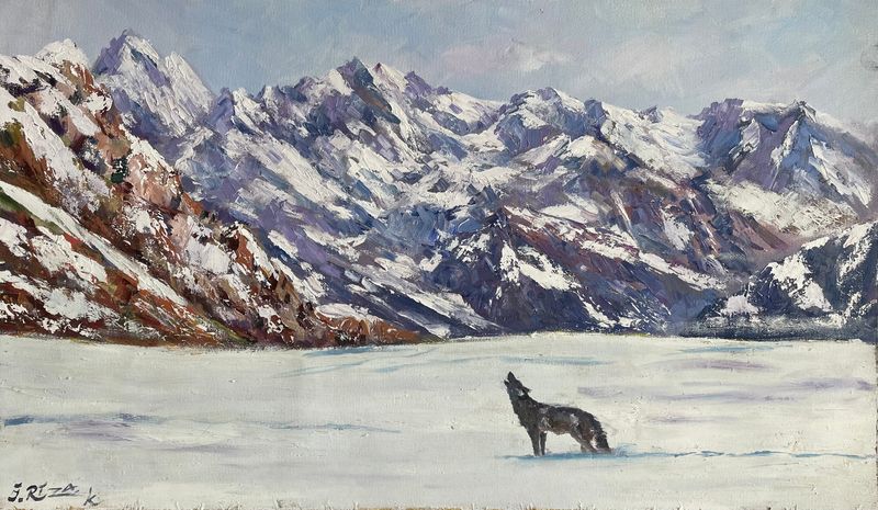 Echoes in the Snow