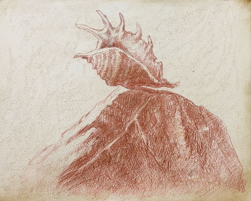 Shell