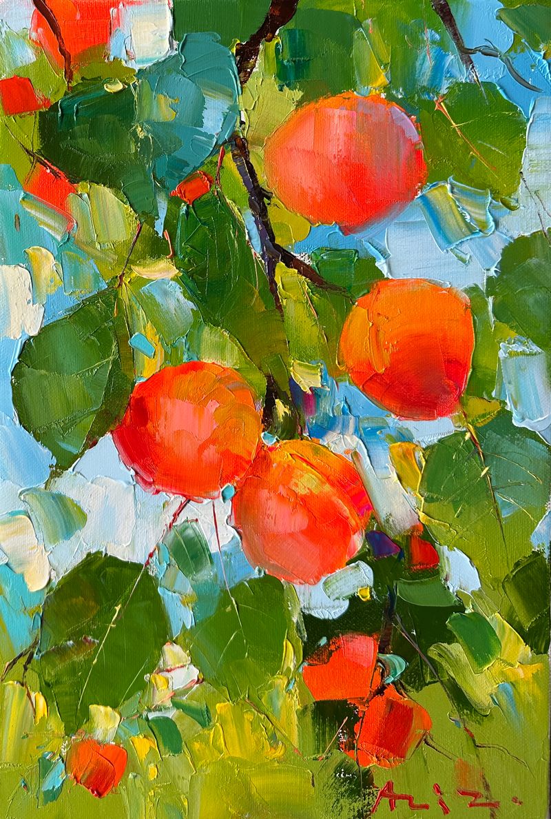 Apricots in the garden 