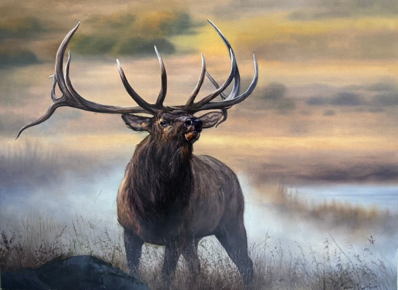 Split 5