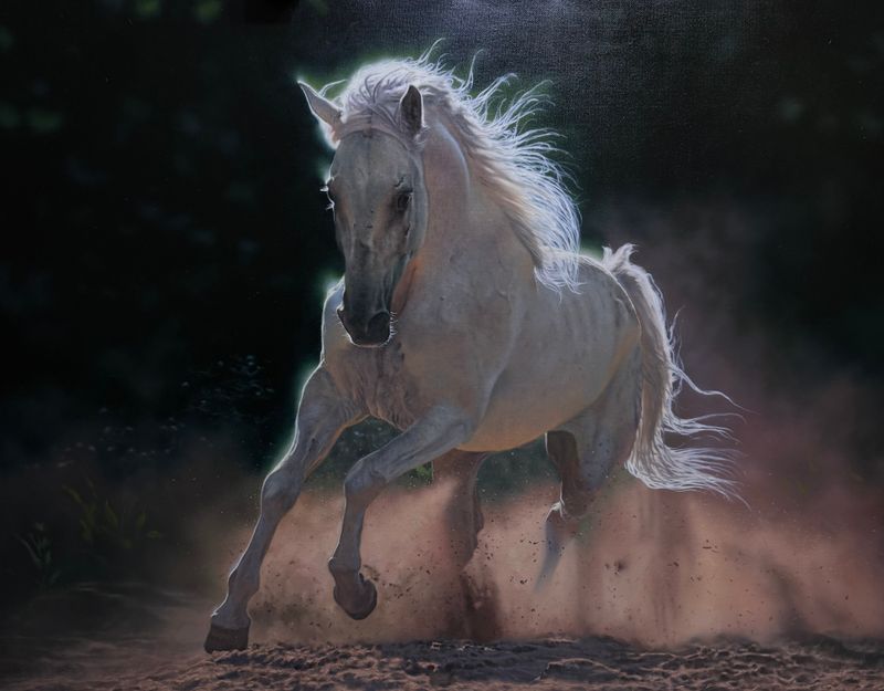 Light of Freedom