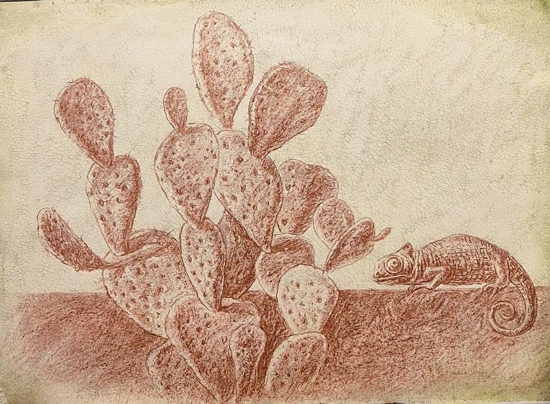 Cactus and chameleon.