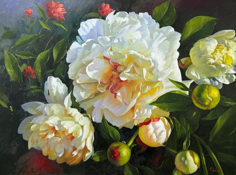 White Peonies