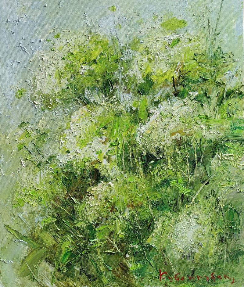 Hydrangea