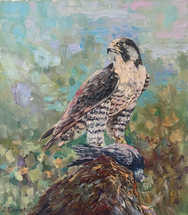 Falcon
