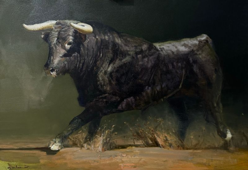 bull