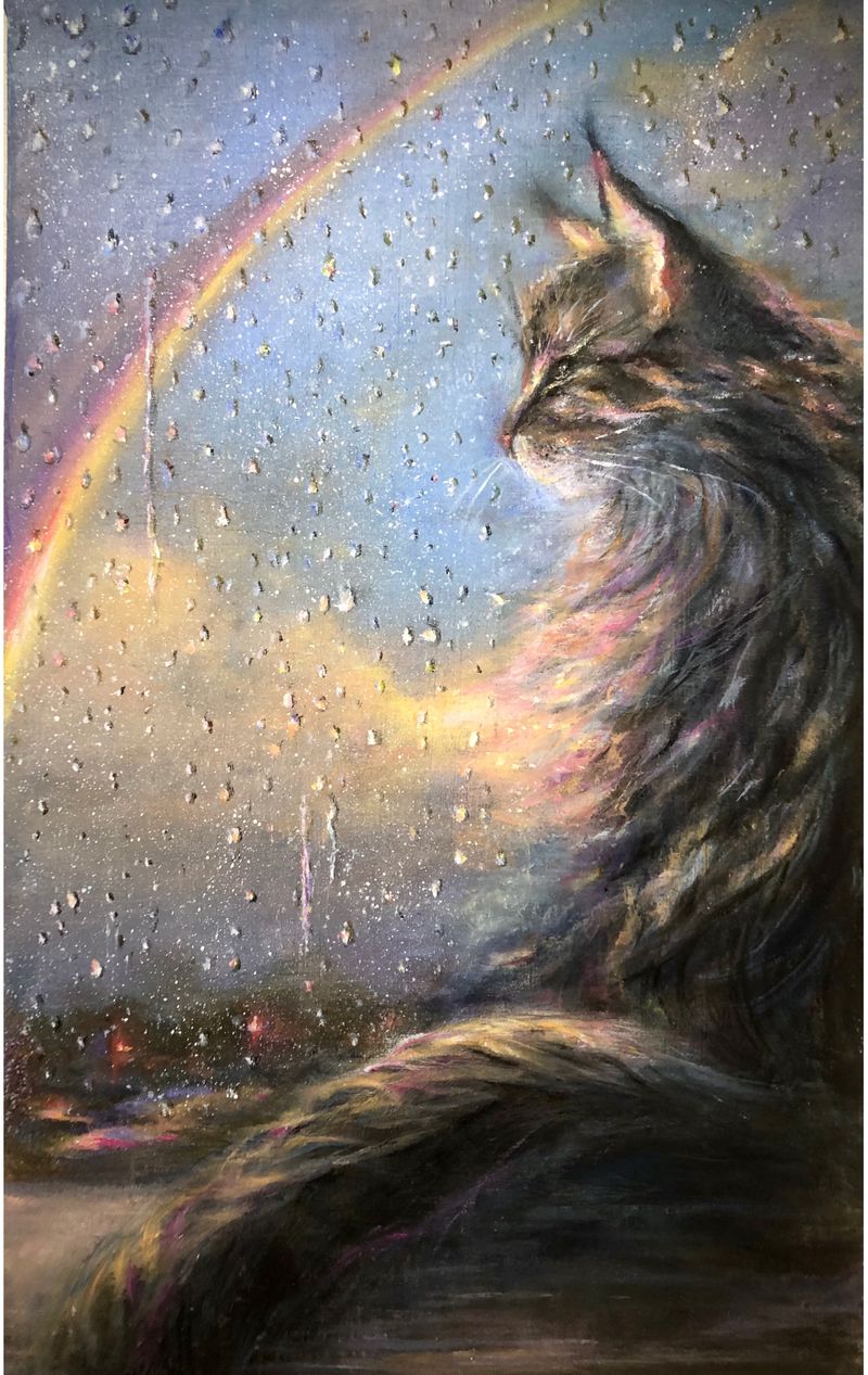 “Cozy Evening” Maine Coon and Rainbow.