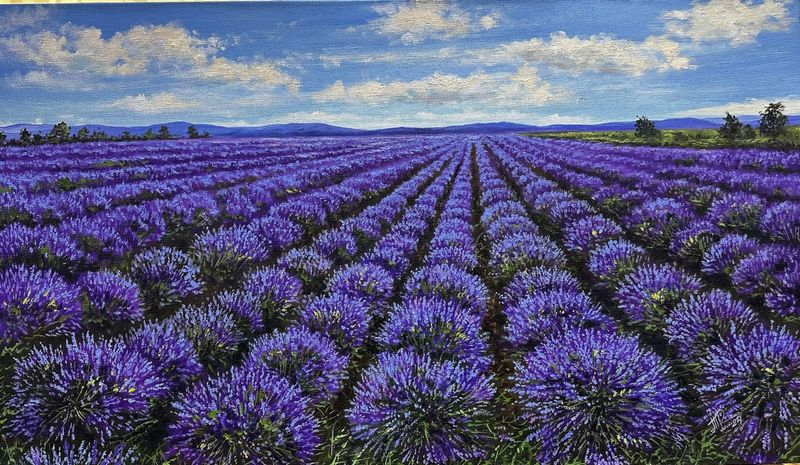 The scent of lavender