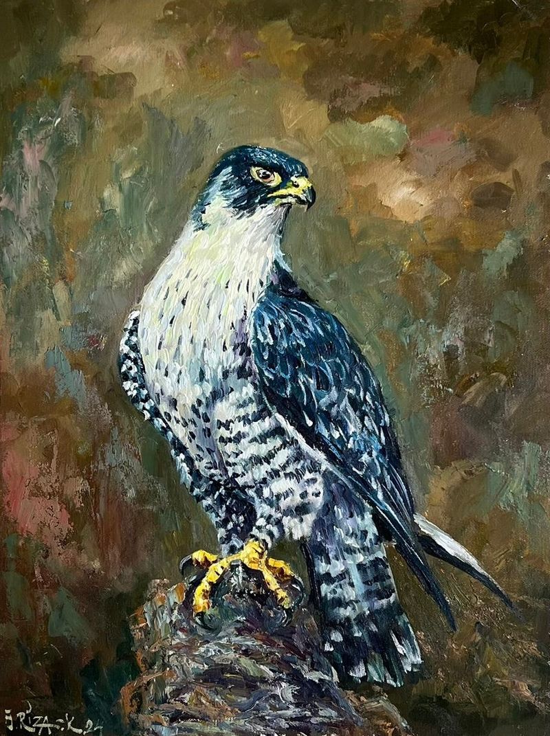 Falcon