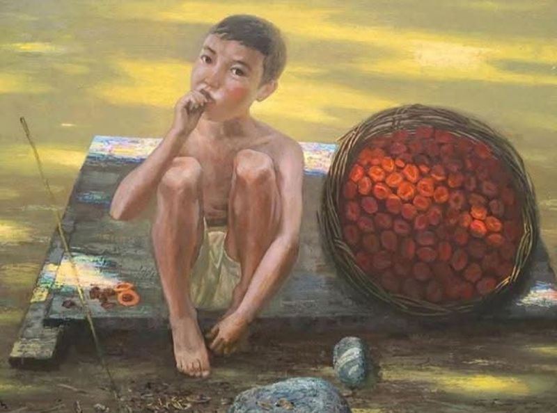 The Apricot Boy